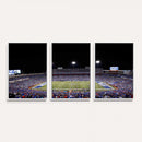 Buffalo Bills Wall Art - Buffalo Bills Stadium Canvas Print,