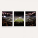 Eagles Field Stadium Wall Art - Philadelphia Eagles Football