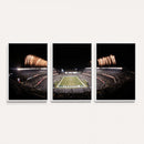 Eagles Field Stadium Wall Art - Lincoln Financial Field