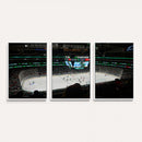 American Airlines Center Dallas Stars Wall Art Canvas Print