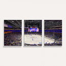 UBS Arena Elmont New York Islanders Ice Hockey Wall Art, UBS