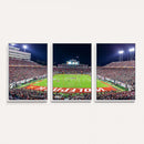 NC State Wolfpack Canvas Print - Raleigh Carter-Finley