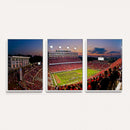 NC State Wolfpack Football Team Print - Raleigh