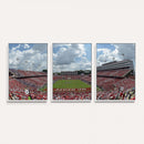 NC State Wolfpack Football Team Print Canvas- Raleigh