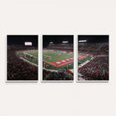 Houston Cougars Football Team Print - Houston TDECU Stadium