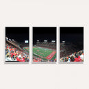 Houston Cougars Football Team Print - Houston TDECU Stadium
