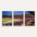 Wisconsin Badgers Football Team Print - Madison Camp Randall