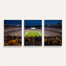 Pittsburgh Panthers Football Team Print - Pittsburgh