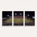 Demon Deacons Print Canvas, Football Team Print -
