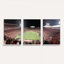University of Louisville Cardinals Football Team Print -