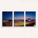 Wolfpack Football Team Wall Art Print - Raleigh