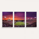 East Carolina University Pirates Football Print Canvas-