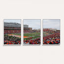 University of Illinois Fighting Illini Football Team Print -
