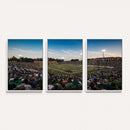 University of Charlotte 49ers Football Team Print -