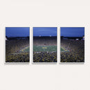 University of Michigan Wolverines Football Team Print - Ann
