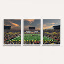 University of Michigan Wolverines Print Canvas, Football