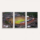 University of Michigan Wolverines Football Team Print - Ann