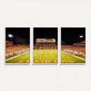 ASU Sun Devils Football Team Print - Phoenix Mountain