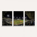 Olsen Field at Blue Bell Park - Texas A&M Aggies Baseball