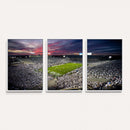 Penn State Nittany Lions Football Team Print - University