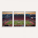 Arizona Wildcats Football Team Print - Tucson Arizona
