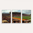 Central Michigan University Chippewas Football Team Print -