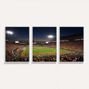 Clemson University Tigers Art Print, Football Team Print -