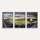 Duke University Blue Devils Football Team Print - Durham