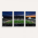 Michigan State Spartans Football Team Print - East Lansing