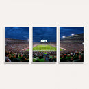 Michigan State Spartans Football Team Print - East Lansing