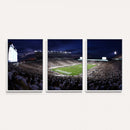 Michigan State Spartans Canvas, Framed Football Team Print -