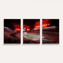 Ohio State University Buckeyes Football Team Print -