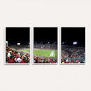 Stanford University Cardinal Football Team Print - Stanford