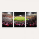 University of Maryland Terrapins Football Team Print -