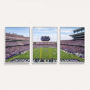 TCU Horned Frogs Football Team Print - Fort Worth Amon G.