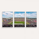 The Temple University Owls Athletics Team Print -