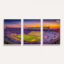 The Louisiana State University Tigers Football Team Print -