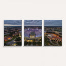 The Louisiana State University Tigers Football Team Print -