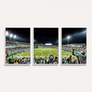 The Tulane University Green Wave Football Team Print - New