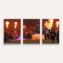 The University of Texas at San Antonio Roadrunners Football