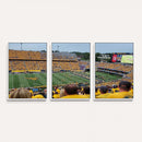 Puskar Stadium Canvas Print Wall Art - Morgantown Print -