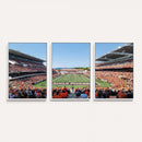 Oregon State Beavers Football Team Print - Corvallis Reser