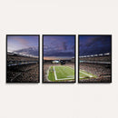 New England Patriots Football Team Print - Foxborough