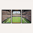 Chicago Bears Soldiers Field Wall Art Canvas Print – Framed