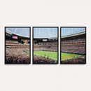 Chicago Bears Soldiers Field Wall Art Canvas Print – Framed