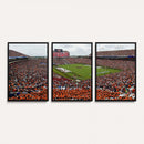 Jordan-Hare Stadium Wall Art Canvas Print, College Sports