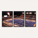 Boise State Broncos Albertsons Stadium Wall Art Canvas Print