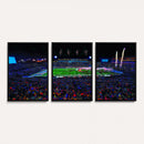 Ole Miss Rebels Vaught Hemingway Stadium Wall Art Canvas