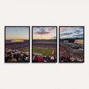 Donald W. Reynolds Razorback Stadium Wall Art Canvas Print –