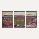 Donald W. Reynolds Razorback Stadium Wall Art Canvas Print –